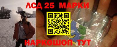 apvp Бийск