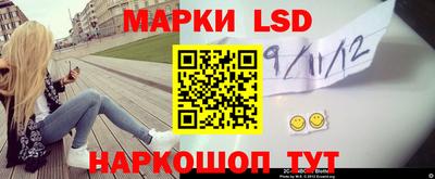apvp Бийск