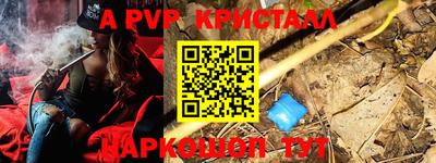 apvp Бийск