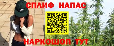 гидра Берёзовский