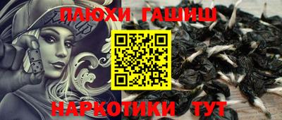 гидра Берёзовский