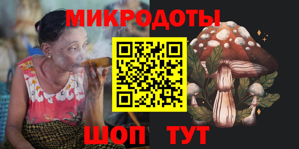Псилоцибиновые грибы Psilocybe Волгодонск