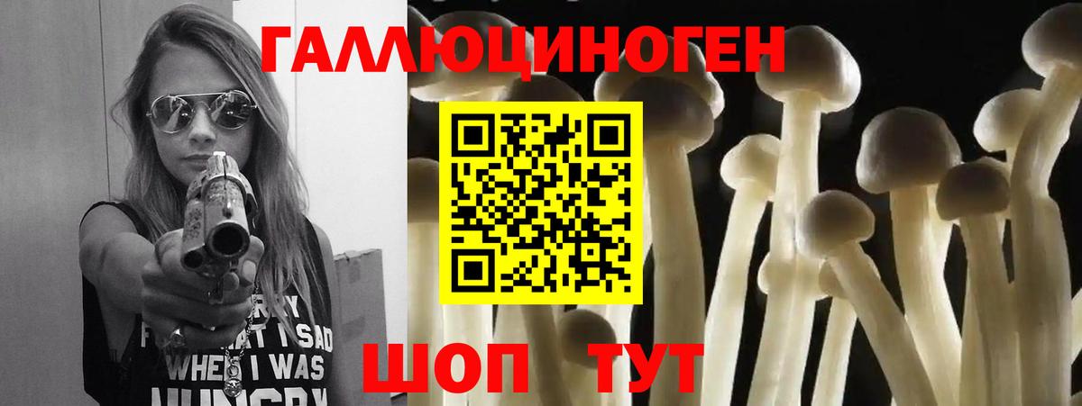 Галлюциногенные грибы мицелий  как найти закладки  Волгодонск  Галлюциногенные грибы Psilocybe 