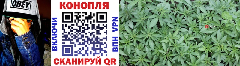 Бошки Шишки THC 21% Волгодонск